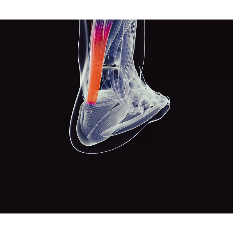 Clearly Adjustable Heel Lift Shoe Inserts | for Leg Length