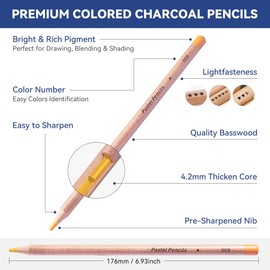LIGHTWISH Professional Pastel Pencils for Artists set of 24 colors for Portrait Painting and more -ideal for mixed media layering, blending, and mark making as well as traditional paste painting