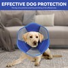 BXPAW BXPAW Soft Dog Cone Collar - Adjustable Protective Recovery