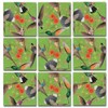 Bundle of Scramble Squares B Dazzle Birds Puzzles for Adults/Teens/Kids