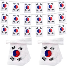 TSMD 2 Packs South Korea Flag Banner Korean Flags String Small Mini Hanging Flags Decorations,60 Feet 40 Flags