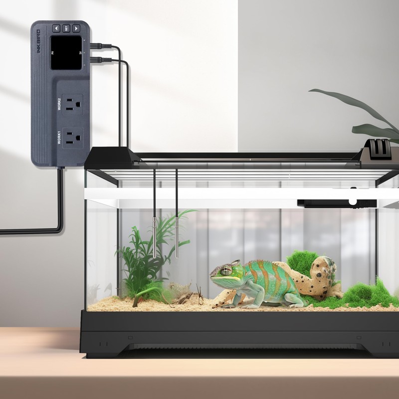 Inkbird Temperature Controller ITC-608T with Two Temp Probes Output 12