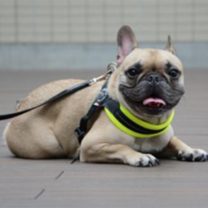 Tre Ponti Fibbia Adjustable Type Soft MESH Soft Mesh Adjustable