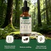 Lymphatic Drainage Drops, Lymphatic Drops, Water Balance Support, Promote Overall