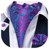DiBanGu Blue Purple Ascot Ties for Men Cravat Tie and