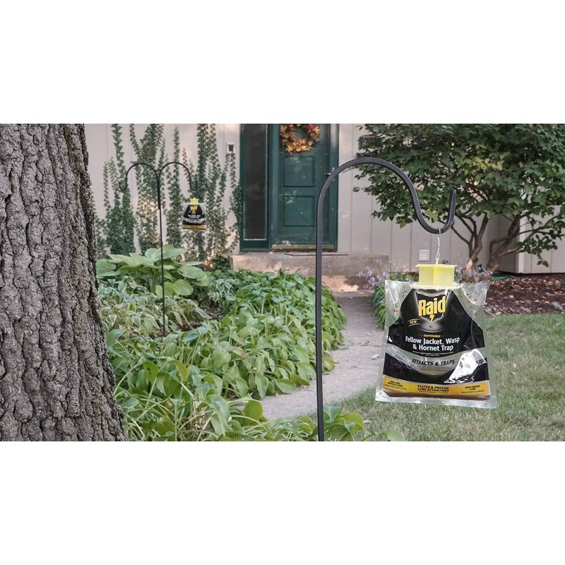 Raid Yellow Jacket and Wasp Trap (3-Pack) – Outdoor Disposable