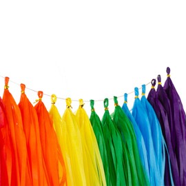 Rainbow Tissue Paper Tassels Multicolor Party Tassel Garland Banner Decorations, DIY Kits,30 PCS