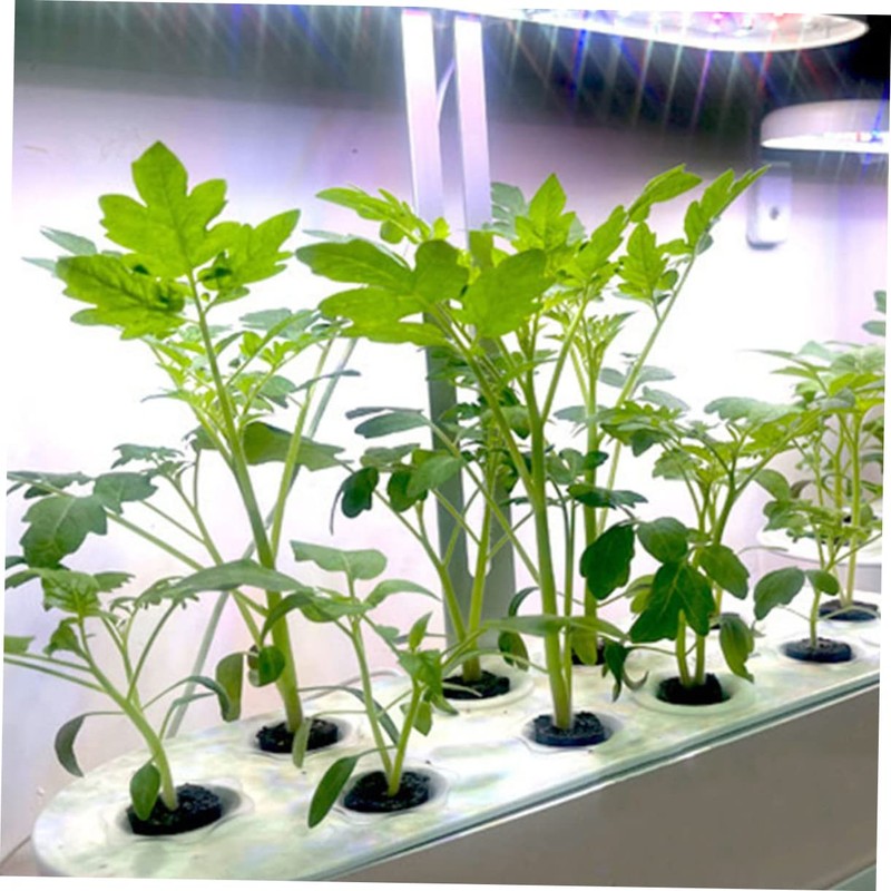 Totority 10Pcs Hydroponic Planting Sponges Soilless Grow Sponges for Germination