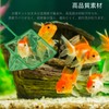 YFFSFDC 2 Pcs Fish Net for Breeding Medallion Fish Net