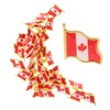 jojofuny 2sets 25pcs Canada Flag Brooch Pins Metal Lapel Pin