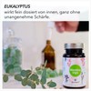 BonVigo® MenthaVigo Lungwort & Eucalyptus, 300 Capsules, 11 Plant Extracts,