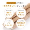 Burdock Tea [Made in Japan] Cold Brew Tea Bag 0.09