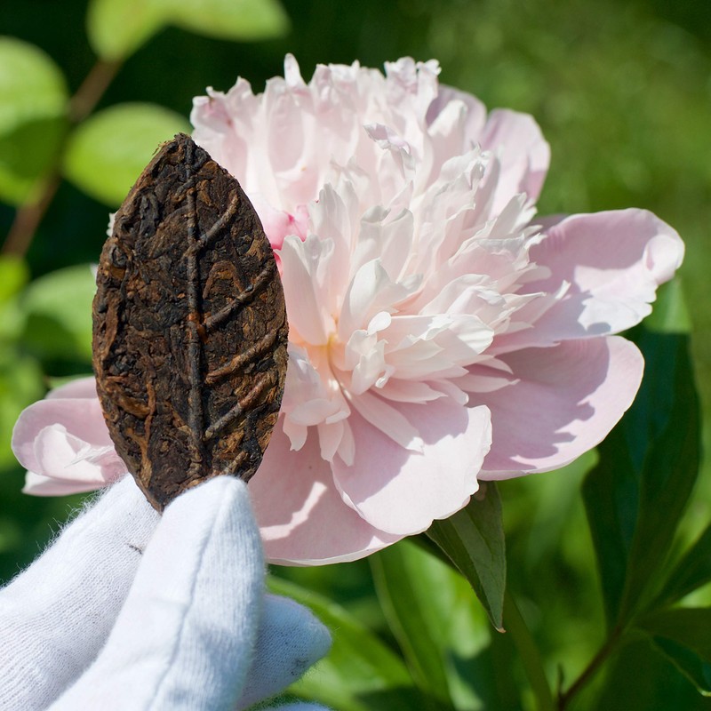 Jinglong Tea Factory, Stout Leaf, Compressed Pekoe Black Pu-erh Tea,