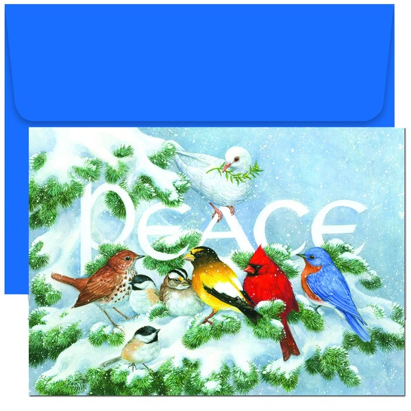 Masterpiece Studios Holiday Collection 18-Count Boxed Christmas Cards with Envelopes, 7.8" x 5.6", Birds on Branch (796600)