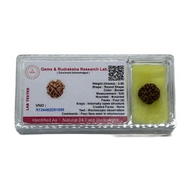 AwakenYourKundalini's Natural Rudraksha Beads (1,2,3,4,5,6,7,8,9,10,11,12,13,14 Faced) Original Rudraksha Beads Himalayan Origin Nepal Collections - Lab Certified (4 Mukhi Faced)
