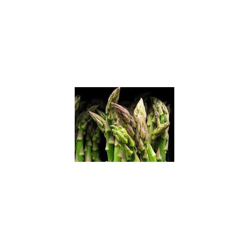 Bulk Organic Mary Washington Asparagus Seeds (1/4 Lb)