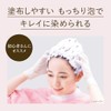 BeautyLab Whip Hair Color Ash Drop 1 Set