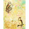 Mulberry Rice Paper Owl 8x10.5 Inch 6 Unique Printed Mulberry