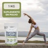 Vidanat Papaína y Bromelina 100 Tabletas – Suplemento Alimenticio de