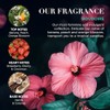 Baylis & Harding Boudoire Tropical Paradise - Juego de regalo