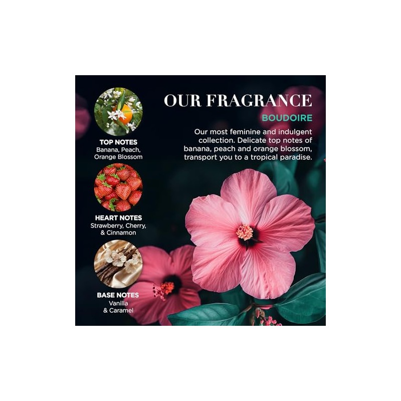 Baylis & Harding Boudoire Tropical Paradise - Juego de regalo