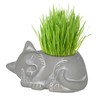 Classic Home and Garden 260010P-396 Cat Planter, Small, Natural
