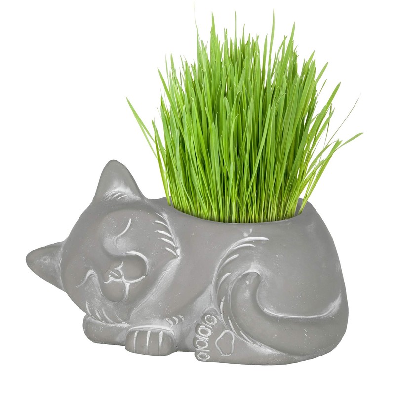Classic Home and Garden 260010P-396 Cat Planter, Small, Natural