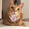 Cat Collars for Girl Cats, Dog Collar Girl Cat Collar