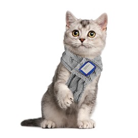 Dog Knitted Scarf,Knitted Pets Warm Scarf,Pet Stylish Decoration Neck Scarves for Small Medium Cats Dogs Winter Outfits