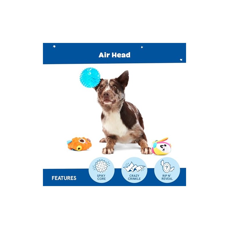 Barkbox Air Head Rip & Reveal Interactive Plush Dog Toy