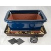 Calibonsai Yubonzai 8" Rectangular Dark Blue Bonsai Pot, Cactus &