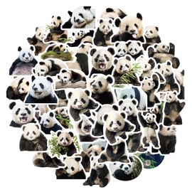Amaxiu Cute Panda Stickers, Pack of 50 Panda Stickers Waterproof Vinyl Animals Stickers Aesthetic Stickers Decorative Cartoon Stickers for Panda Lovers Water Bottle Party Scrapbook Phone