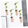 GRIRIW 2 Sets Wall Hanging Planter Test Tube Vases for
