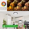 IBESTWIN 2 Pack LED Flush Mount Ceiling Light Fixture, 24W