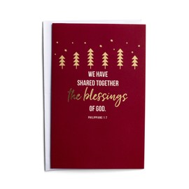 DaySpring - Blessings of God - 18 Christmas Boxed Cards & Envelopes, NIV (J8849)
