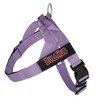 BULLHUG Harness – Made for Larger Chested Dogs Like English