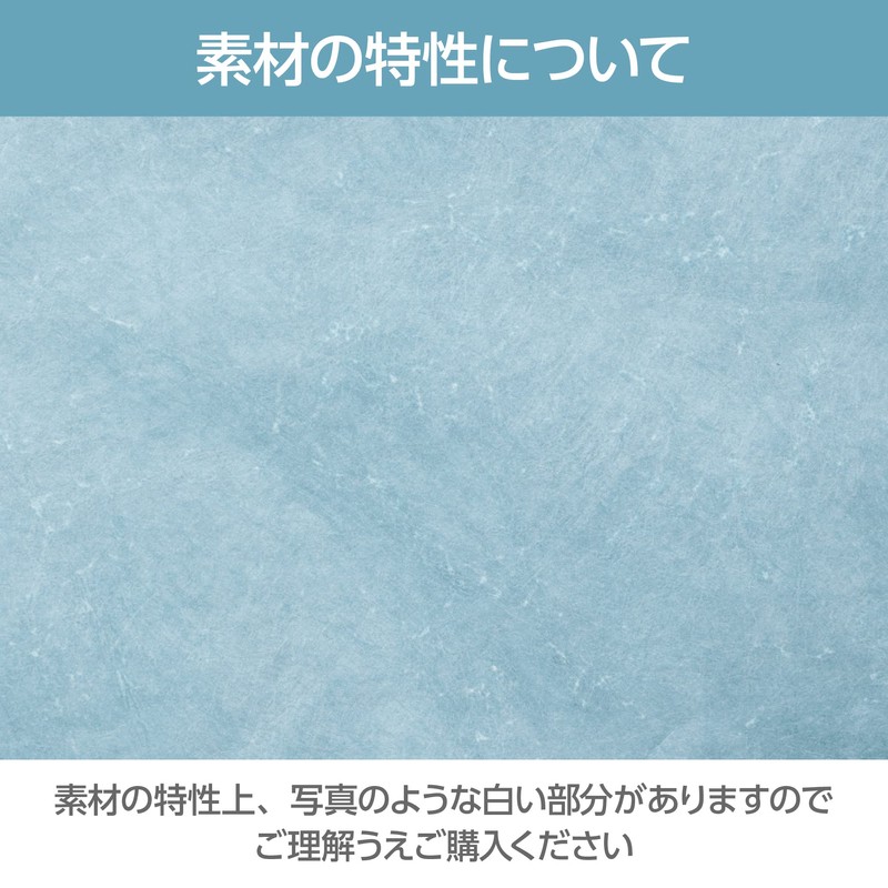 Hakuba HAKUBA PC Sleeve Plus Shell Envelope Laptop Sleeve 11