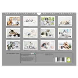 Les chats Maine Coons (Calendrier mural 2023 DIN A4 horizontal): Série de 12 tableaux de chats Maine Coons. (Calendrier mensuel, 14 Pages )