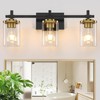 Spiglamm 3-Lights Black and Gold Bathroom Light Fixtures Over Mirror,