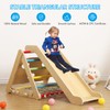 2 in 1 Wooden Climbing Toys, Kids Indoor Gym Playset,3-Sided