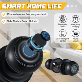 Hoolerry Smart Fingerprint Door Lock Keyless Entry Door Lock, Biometric Door Lock Fingerprint Door Knob with App Control for Home Hotel Office Apartment Bedroom (Black, 1 Pcs)