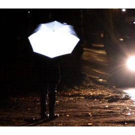 iX-brella first class Edition – edler Taschenschirm - Auf-Zu-Automatik - groß-stabil-sturmfest (reflektierend)