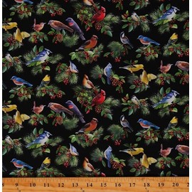 Elizabeth Studios Cotton Birds and Berries Animals Cardinals Pines Needles Cones Holly and Ivy Christmas Holiday Black Cotton Fabric Print by The Yard (40004BLACK)