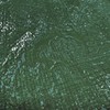Waterproof tarpaulin/builders tarps cover up tarp/ground sheet 1.5m x2m in