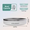 Coldest Dog Bowl - Anti Rust Metal, Non Slip, 3
