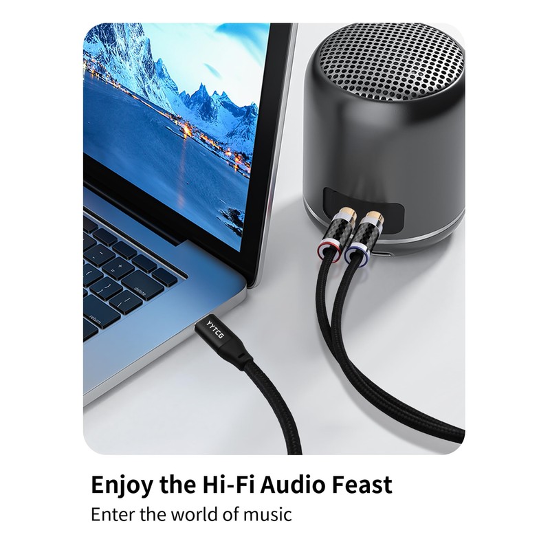 YYTCG HiFi USB C to RCA Audio Cable 3.28ft Type