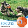 COMBLU Interactive Dog Ball Toys, Toys for Puppy, Interactive Cat