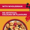 Kellogg's Crunchy Nut Red Berries Breakfast Granola 380g