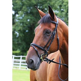 Gallop Padded Bridle and Rubber Reins set (Brown, Cob)
