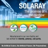 SOLARAY Activated Charcoal 280mg | Coconut Source | Healthy Inner